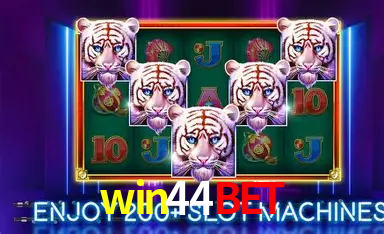 Descubra a Essência do win44bet: Nossa História e Compromissos